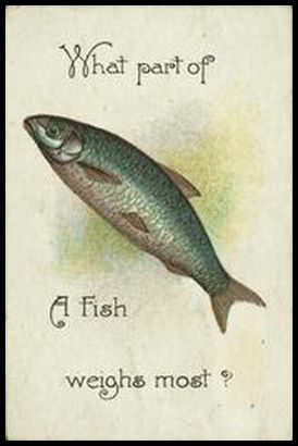 4 What part of a fish weighs most